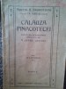 M. Csaki - Calauza Pinacotecei, editia II (Editia: 1923)