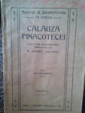 M. Csaki - Calauza Pinacotecei, editia II (1923)
