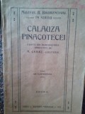 M. Csaki - Calauza Pinacotecei, editia II (1923)