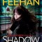 Shadow Storm