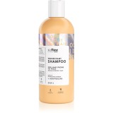 so!flow Medium Porosity Hair Humectant Shampoo sampon pentru indreptarea parului anti-electrizare 400 ml
