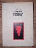 Anatomia animalelor domestice V.Ghetie