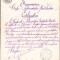 HST A276 Certificat 1884 inginer hotarnic al județului Vaslui