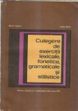 Cumpara ieftin Culegere de exercitii lexicale, fonetice, gramaticale si stilistice - Iulian Ghita, Mihai Andrei