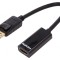 Adaptor DisplayPort la HDMI 150mm