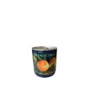 Kit Gradinarit Metal Orange Tree I 1 buc