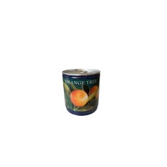 Kit Gradinarit Metal Orange Tree I 1 buc
