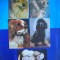 HOPCT LOT NR 1083 CAINI -5 CARTI POSTALE-NECIRCULATE