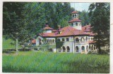 Bnk cp Sinaia - Foisorul - circulata, Printata