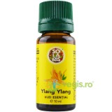 Ulei Esential Ylang Ylang 10ml