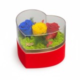 Inima cu trandafiri criogenati tricolor in cutie catifea