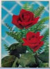 Carte Postala 3D Trandafiri Elvetia Toppan KD-1114 Colectie Ilustrata