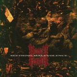 Seething Malevolence - Vinyl | Vomit Forth
