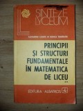 Principii si structuri fundamentale in matematica de liceu 2- Alexandru Leonte, Rodica Trandafir