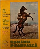 Romania Pitoreasca nr. 10 Octombrie 1990 Almanah Pagini 23 Dimensiune 24x30 cm Limba Romana Stare Buna