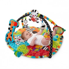 Bright Starts - 9167 Start Your Senses Salteluta Interactiva Spots &amp;amp;amp; Stripes foto