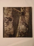Radu Bogdan - Catalog expoziția comemorativă Ioan Andreescu (1850-1882) - Anii de creație &icirc;n țară (1983)