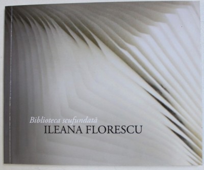 BIBLIOTECA SCUFUNDATA de ILEANA FLORESCU , 2010 foto