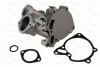 Pompa apa HYUNDAI H-1 Starex (H200) caroserie (1997 - 2007) THERMOTEC D15006TT