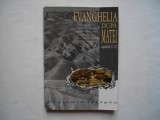 Evanghelia dupa Matei. Capitolele 11-23 - Beniamin Faragau, 1998, Alta editura