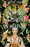 Fata care s-a pierdut in oglinda
