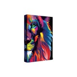 KJV Holy Bible, Large Print, Handy Size Format, Hardcover, Multi Color Lion of J Udah, Ribbon Marker, and Red Letter