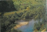 Valea raului Dorna (Carte postala necirculata)