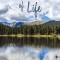 Stream of Life