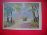 HOPCT 23677 GRADINILE MIKHAILOVSKY 1938-N LAPSHIN 1888-1942 - RUSIA --MUZEE - CP PICTURA --NECIRCULATAMUNTII