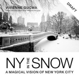 New York in the Snow