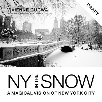 New York in the Snow