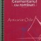 Geamantanul Cu Romburi - Traian Danciu
