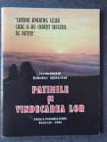 PATIMILE SI VINDECAREA LOR de IEROMONAHUL BENEDICT AGHIORITUL, 48 pag, stare fb, 2002