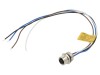 Conector circular plug M12 MOLEX
