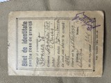 Bilet de identitate pentru zona de granita