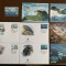AA - foca - serie 4 timbre MNH, 4 FDC, 4 maxime, fauna wwf