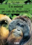 Cumpara ieftin Ce este un animal pe cale de disparitie?/***