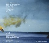 A Man About A Horse | Steve Tibbetts