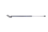Amortizor haion st&acirc;nga BMW F40 2020 OEM: 7456042 18264245