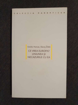 Ce vrea Europa? Uniunea si necazurile cu ea &amp;ndash; Slavoj Zizek foto