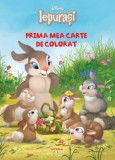 Disney. Iepurasi. Prima mea carte de colorat - Litera