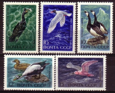 Russia 1972 Birds MNH DC.021 foto