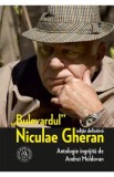 Bulevardul Niculae Gheran - Andrei Moldovan