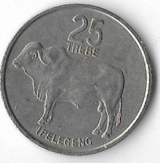 Moneda 25 thebe 1989 - Botswana foto