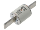 Siguranță industrială NIKDIM LTD 75A 500V gG NHg