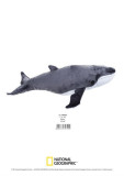 Jucarie Plus Venturelli - National Geographic Balena 40 Cm - Av770729