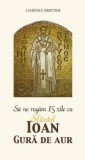 Sa ne rugam 15 zile cu Sfantul Ioan Gura de Aur de Laurence Brottier