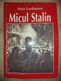 Micul Stalin - Ana Ludusan, Carte Istorie, Editura Seso Hipparion, 1999