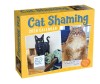 Cat Shaming 2024 Day-To-Day Calendar