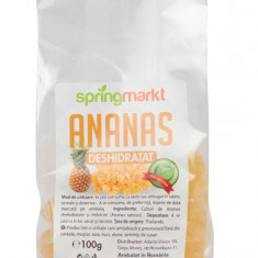 ANANAS DESHIDRATAT 100GR